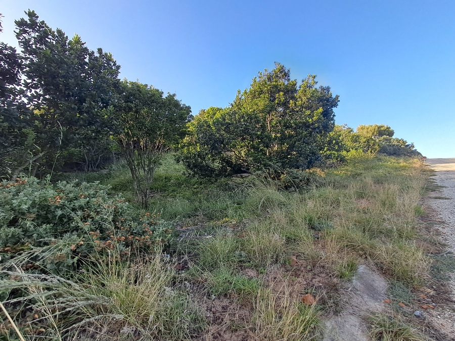 0 Bedroom Property for Sale in Paradise Beach Eastern Cape